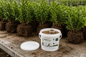 RootAction